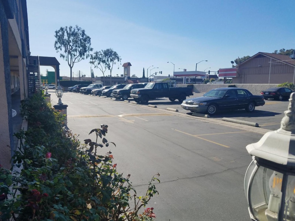 Flamingo Inn Main image